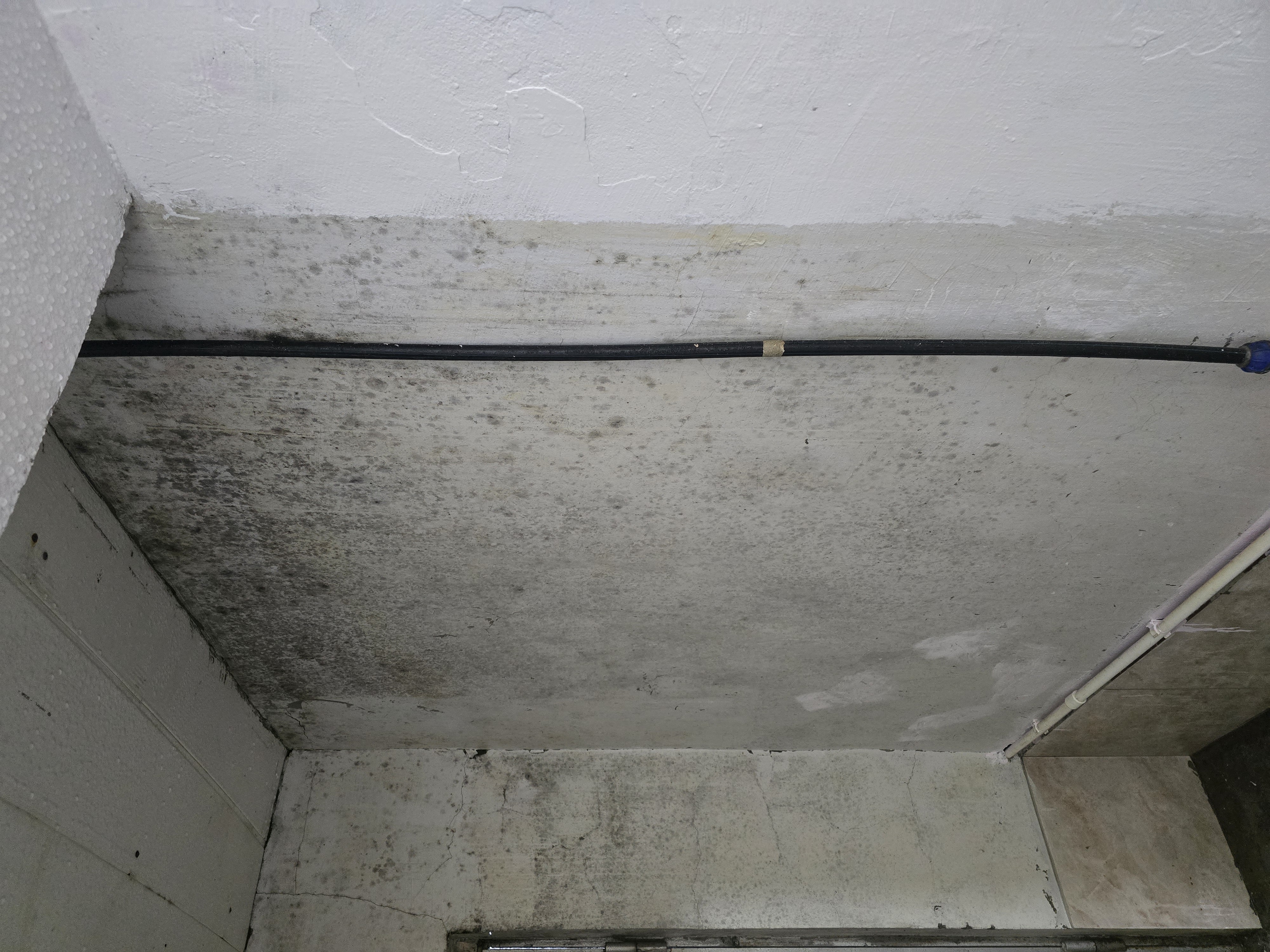 20260320_141555 (1)_1776071877.jpg